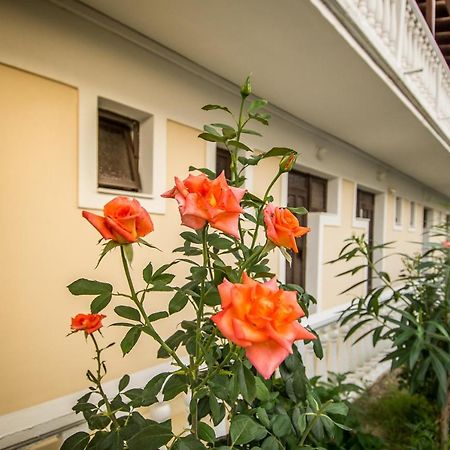 Leonidas Studios Лаганас Екстериор снимка